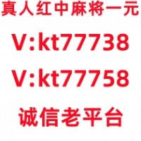 四通八达红中麻将群一元一分到哪里找哔哩/哔哩