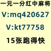 寻找机会微信红中麻将一元一分2024已更新