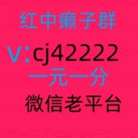 线上1元1分红中麻将群