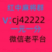 同城麻将群1元1分红中麻将群