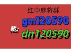 可以提现的红中麻将群跑的快群上下分一元一分