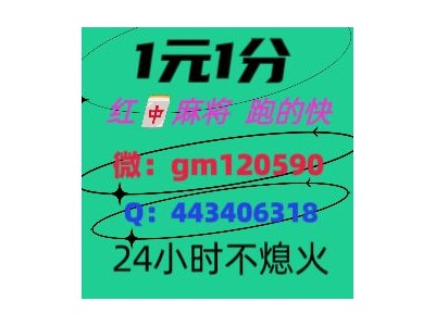 哪里寻找手机广东一元一分红中麻将群2024已更新微信群图1