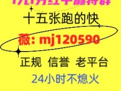 参观广东一元一分红中麻将群2024已更新微信群