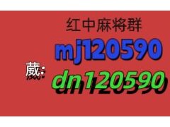 谁有靠谱一元一分麻将群-红中麻将群-百人大群