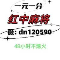 全网普及24小时一元红中麻将今日知乎