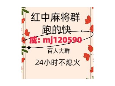 360自媒体24小时真人红中麻将群菜瓜图1