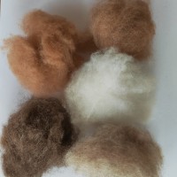 批发羊绒原料细致羊绒质量好纺纱