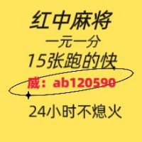 给大家分享24小时一元一分红中麻将群哪里有