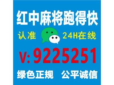 （麻将普及）24小时正规红中麻将 @2024放心省心