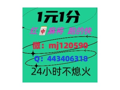 (盘点一下)手机24小时一元一分红中麻将群@2024已更新（天涯/皮皮虾）图1