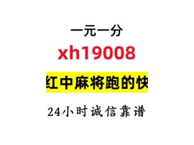 2024红中一块跑的快群哪里有接好运图1