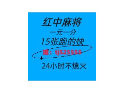 怎么找正规1元1分红中麻将群2024已更新图1