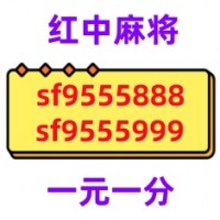 【欢乐周末】红中麻将群拉我（2024已更新）