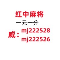 独家解读正规广东一元一分红中麻将微信群百度贴吧