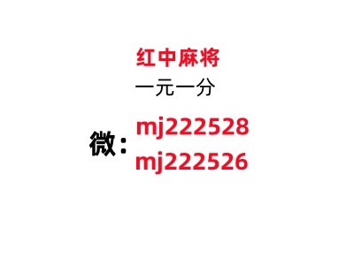 哪里有一元红中麻将麻将群微信群量大从优图1