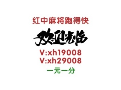 【重大爆料】一元一分广东红中麻将群图1