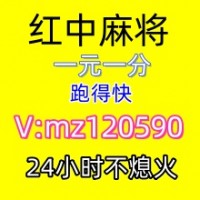 日月星辰一元一分红中麻将正在进行中