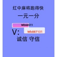 这里有1块红中麻将群稳定